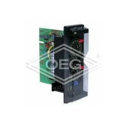 VIESSMANN Minuterie Analogique